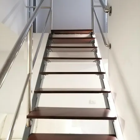 Homeforguest Bioma Modern & Minimalist